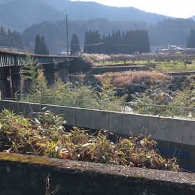 高 山線試運転の画像