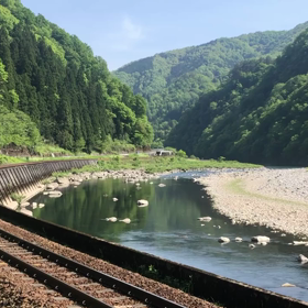 打保の画像