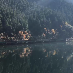 下原ダムと紅葉！の画像