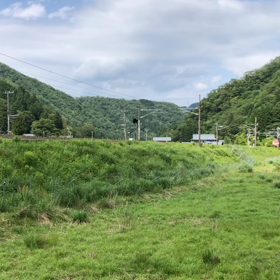 クモヤ443の画像
