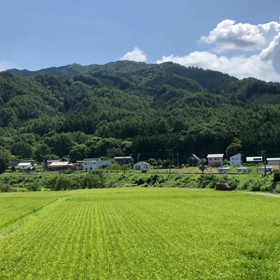 週末の10連の画像