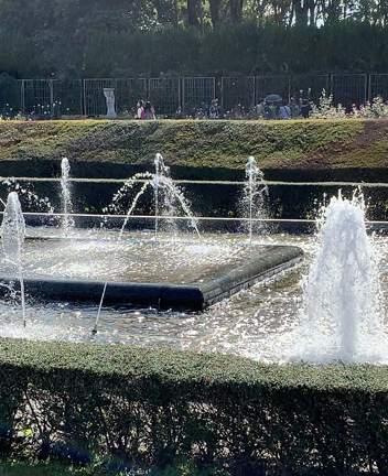 神代植物公園の記事動画