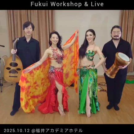 海に映る月光の記事動画