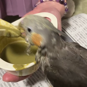 美味しいらしいの画像