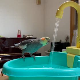 新しいバスタブの画像