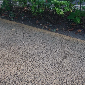 梅吉のお散歩日記～５日目の画像
