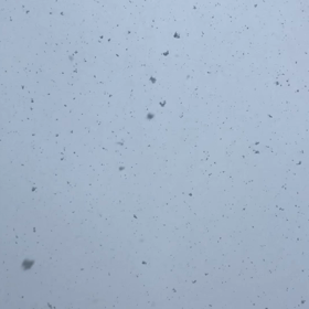 雪の画像