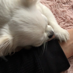 ははのうでの画像