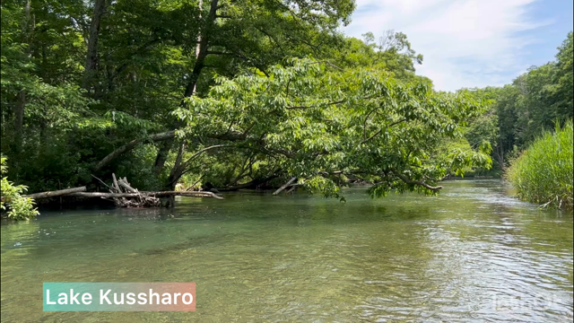 【旅からビジネスを学ぶ♪】屈斜路湖の絶景に来ました！の記事動画