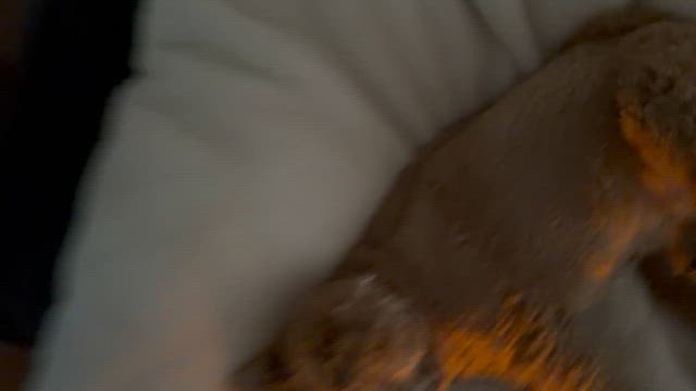 朝のルーティンの記事動画
