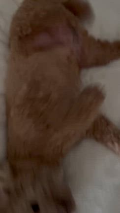 朝のルーティンの記事動画