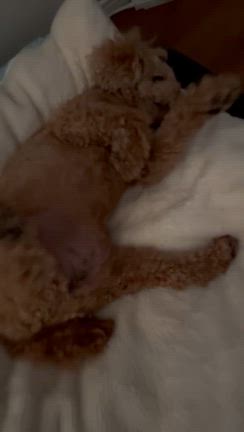 朝のルーティンの記事動画