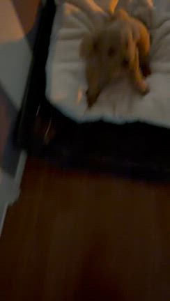 朝のルーティンの記事動画