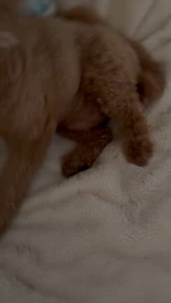 朝のルーティンの記事動画