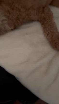 朝のルーティンの記事動画