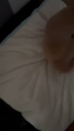 朝のルーティンの記事動画
