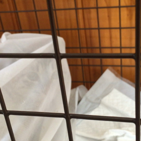 ミシャ 動物病院に行ってきましたの画像