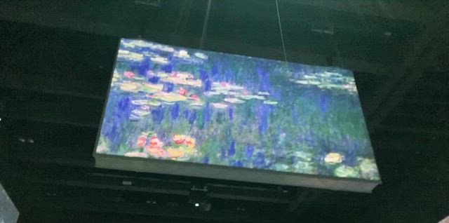2024.09.29 芸術の秋️の記事動画