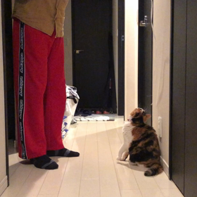モンちゃん、クルクル回る(*^o^*) （動画あり）の画像