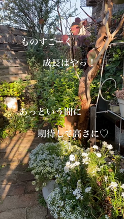 急に暑くなってきたぞの記事動画