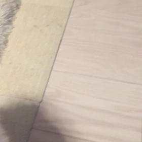 おすわりできたよ！の画像