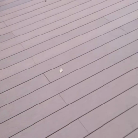 手術後 8日目の画像