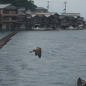 重要伝統的建造物保存地区“伊根の舟屋”の画像