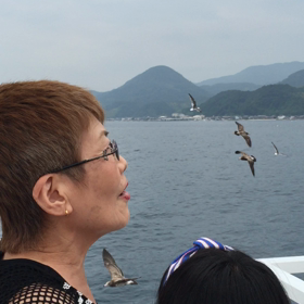 伊根町の舟屋の里伊根湾めぐり遊覧船の画像