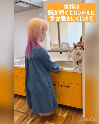 わたしサイズのキッチンの記事動画