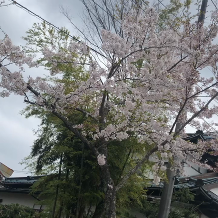 ♡しばらくの間♡の記事動画