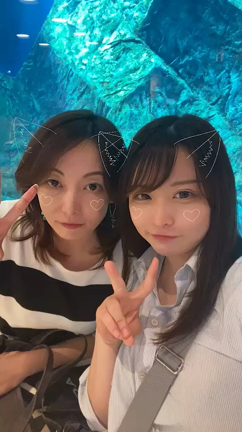 プライベートblog♡の記事動画