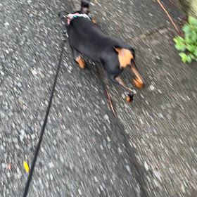 クルクル回るの画像