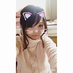 たむにゃんこの画像