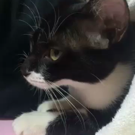 もなかちゃんの動画(*^^*)の画像
