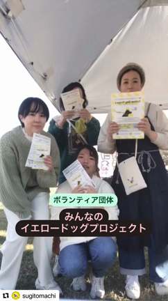 ありがとうございました！の記事動画