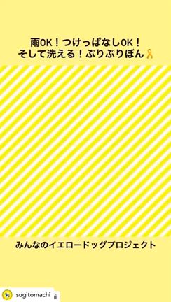 リボンは洗えますの記事動画