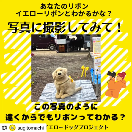 そのリボン、 イエローリボンとわかるかな？の記事動画