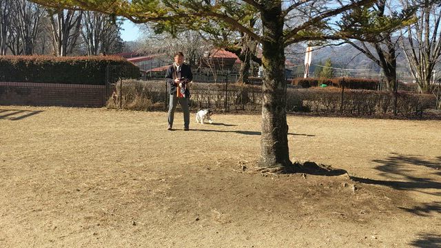 楽しかったし美味しかったの記事動画