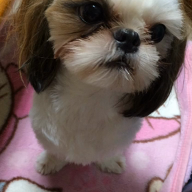 できた！の画像
