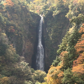 な  んか癒されるの画像
