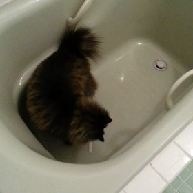 うなさん元気になりました♡の画像