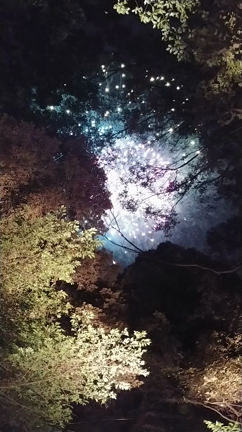講師養成講座を終え、明治神宮100年祭への記事動画