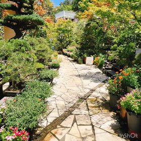 華やかな花々を愛で感じることの画像