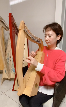 Ototsubuharp 19弦 木材による音色の違い | 大阪・奈良 ヴォイス