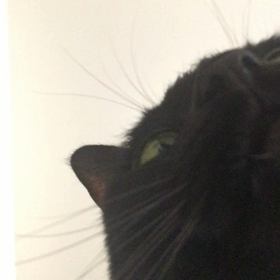 今度はの画像