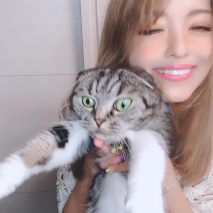 ぷらちゃん✨頑張れの記事動画