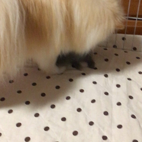 病院の画像