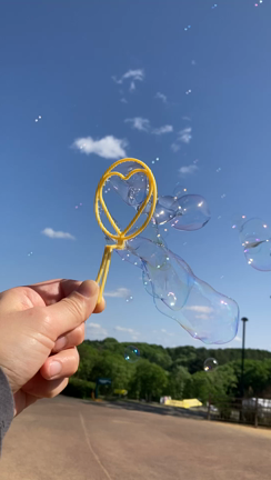 年の差8歳でも遊べる公園は最高in笠間芸術の森公園へ行ってきたよ(*^^*)の記事動画