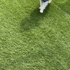 なす君とりくは遊びが大好きですの画像