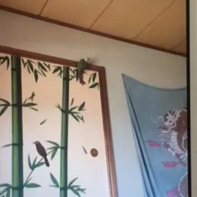 す〜ろぉ〜〜もぉ〜〜しょん〜の画像